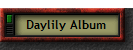 Daylily Album