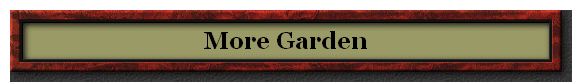 More Garden