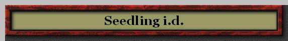 Seedling i.d.