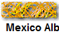   Mexico Album