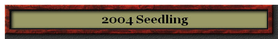     2004 Seedling