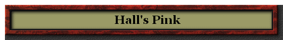     Hall's Pink