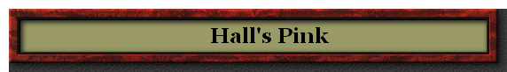       Hall's Pink