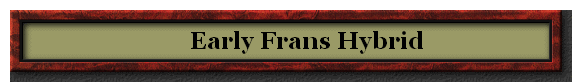        Early Frans Hybrid