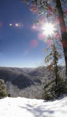 Gorge in Winter
